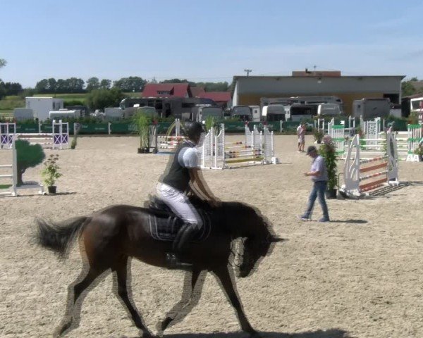 Reitturnier Sauldorf-Boll 2024