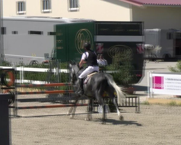 Reitturnier Sauldorf-Boll 2024