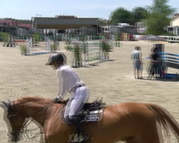 Reitturnier Sauldorf-Boll 2024