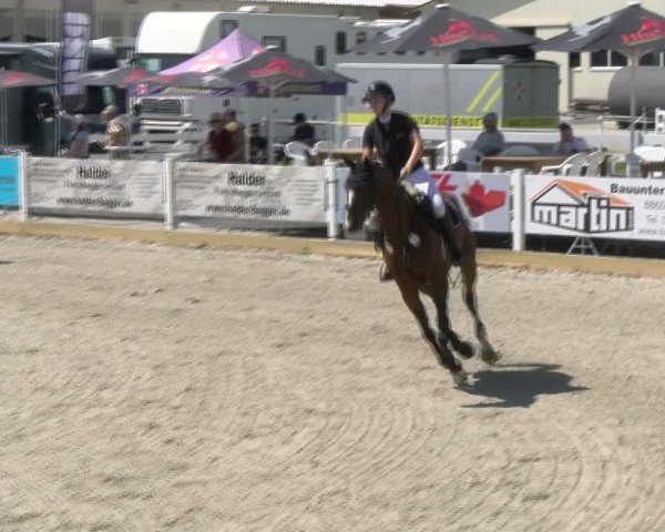 Reitturnier Sauldorf-Boll 2024