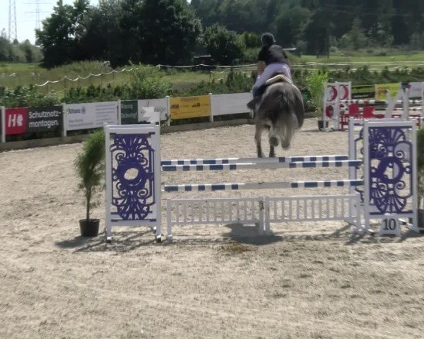 Reitturnier Sauldorf-Boll 2024