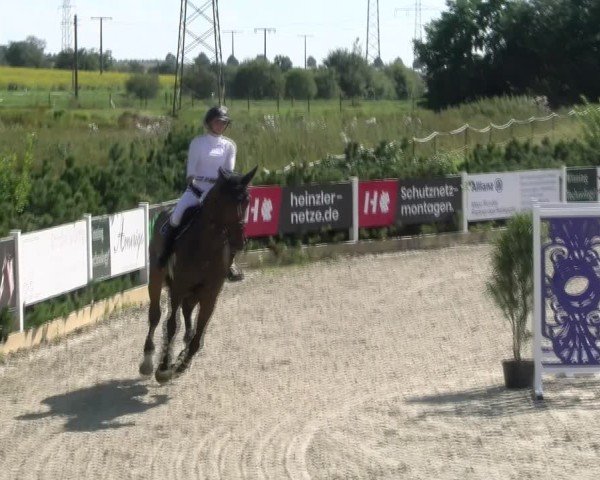 Reitturnier Sauldorf-Boll 2024