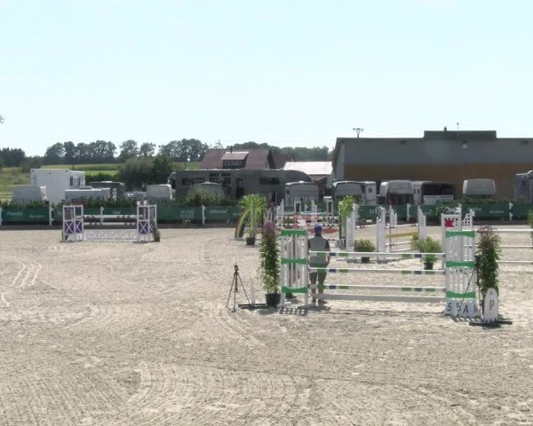 Reitturnier Sauldorf-Boll 2024