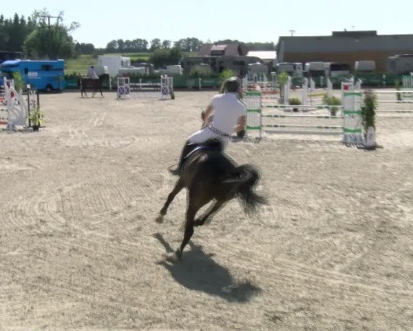 Reitturnier Sauldorf-Boll 2024