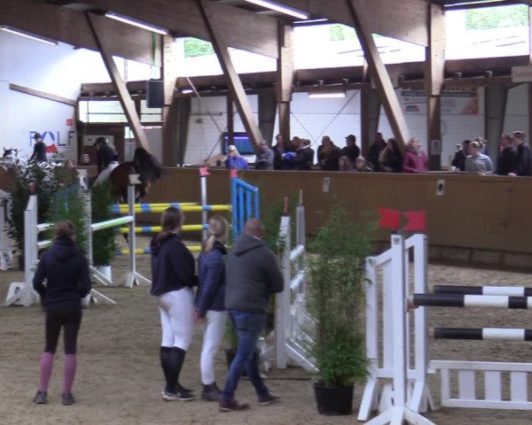 Reitturnier Steinheim 2021