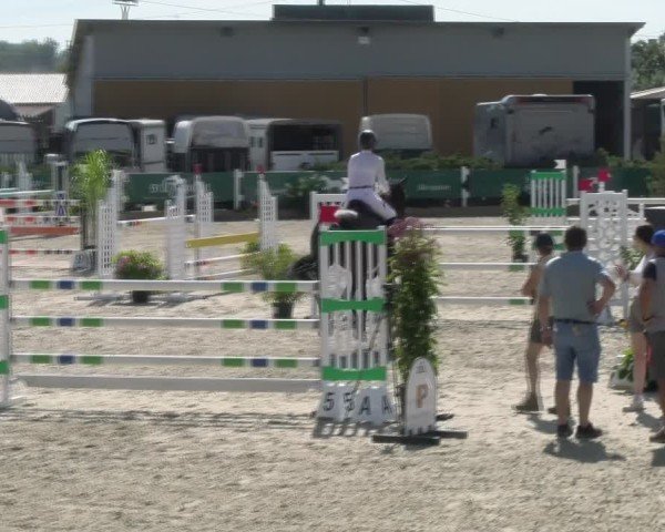Reitturnier Sauldorf-Boll 2024