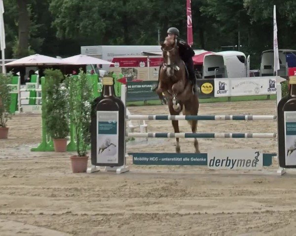 Reitturnier Münster-Handorf 2024