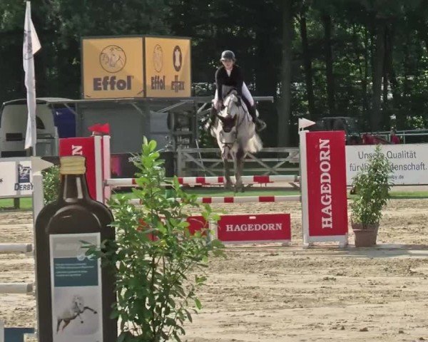 Reitturnier Münster-Handorf | Westfalen-Woche 2024