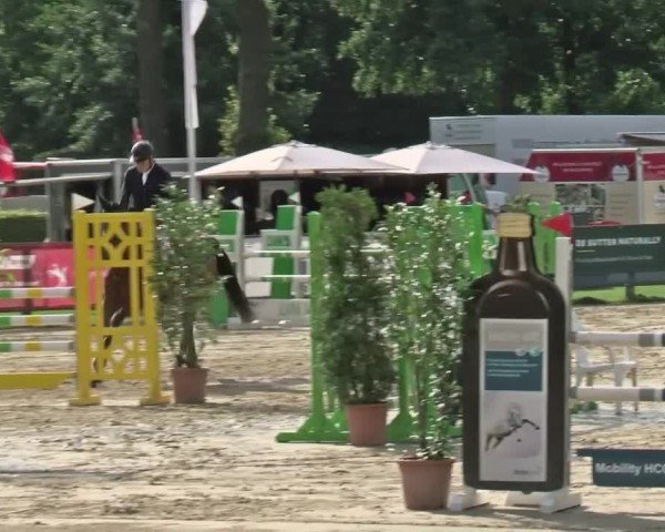 Reitturnier Münster-Handorf 2024