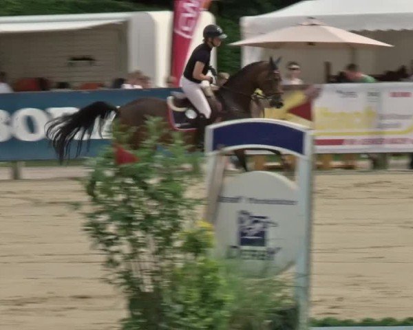 Reitturnier Münster-Handorf | Westfalen-Woche 2024