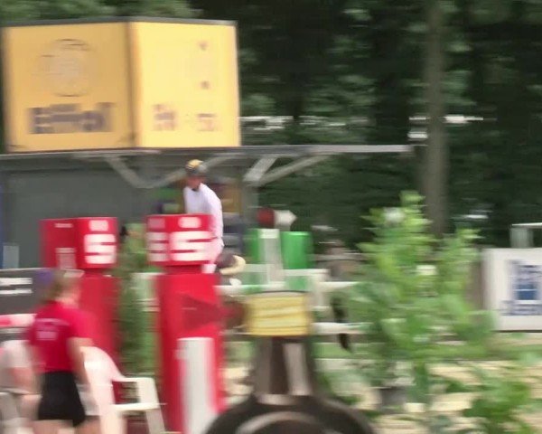 Reitturnier Münster-Handorf | Westfalen-Woche 2024