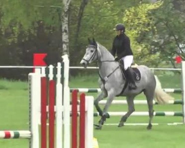Reit- und Springturnier Brackenheim 2013