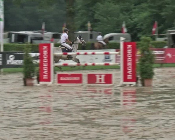 Reitturnier Münster-Handorf | Westfalen-Woche 2024
