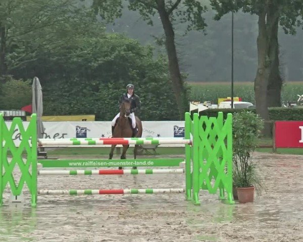 Reitturnier Münster-Handorf | Westfalen-Woche 2024