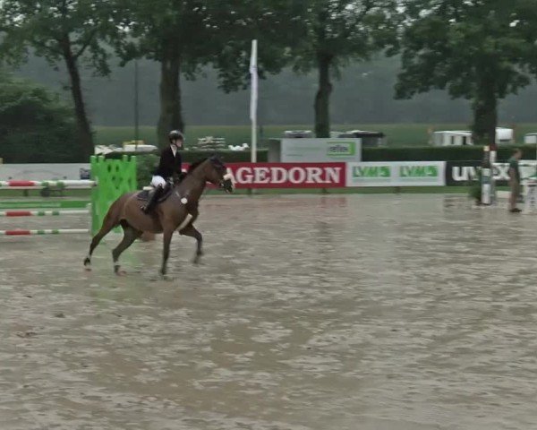 Reitturnier Münster-Handorf 2024