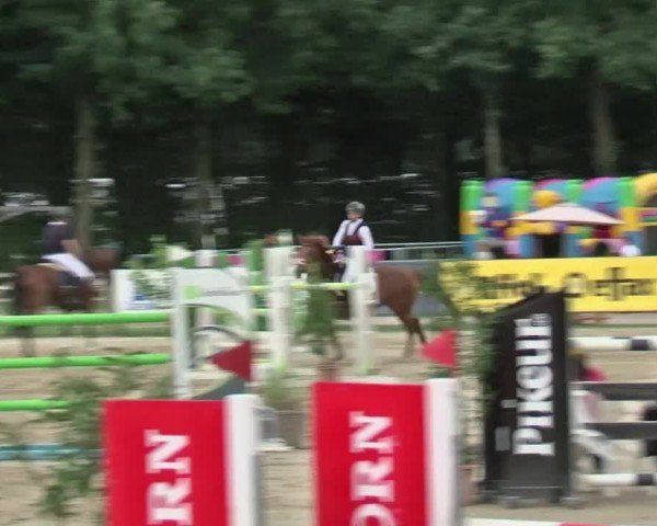 Reitturnier Münster-Handorf | Westfalen-Woche 2024