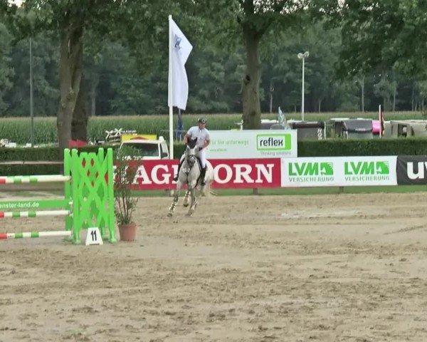 Reitturnier Münster-Handorf | Westfalen-Woche 2024