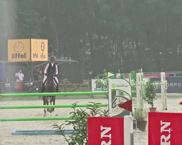 Reitturnier Münster-Handorf | Westfalen-Woche 2024
