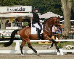 Dressurpferd Schorsch III CH (Westfale, 2020, von Secret)