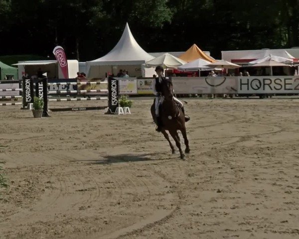Reitturnier Münster-Handorf | Westfalen-Woche 2024