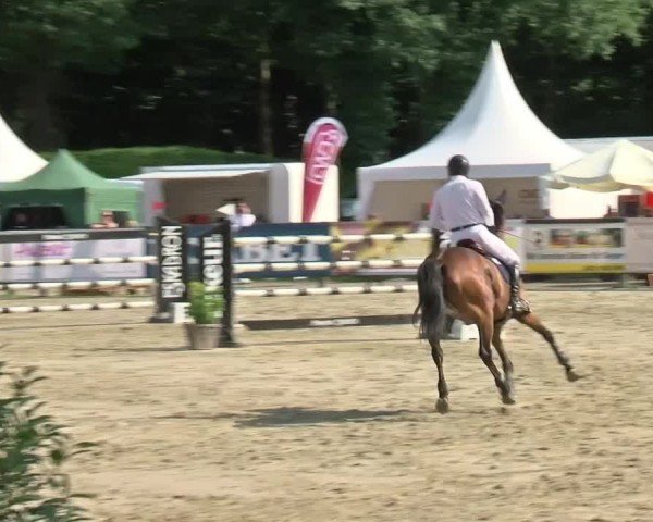 Reitturnier Münster-Handorf | Westfalen-Woche 2024
