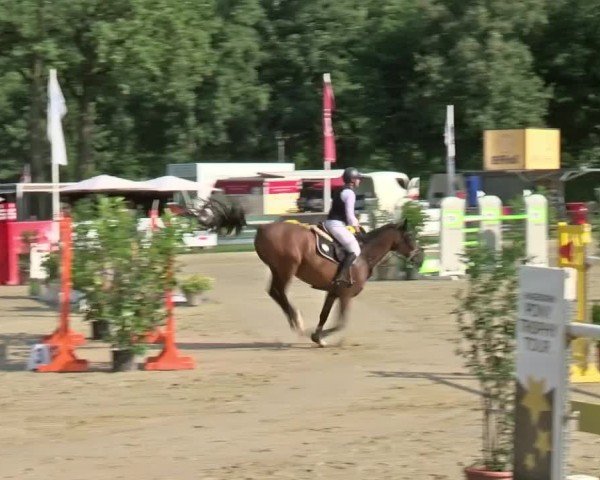 Reitturnier Münster-Handorf | Westfalen-Woche 2024