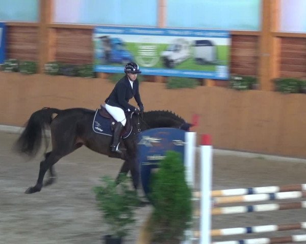 Springturnier Xanten - Reitanlage Miss 2021