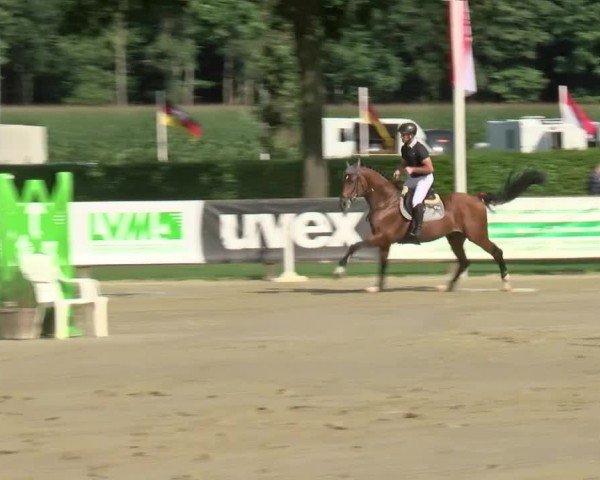 Reitturnier Münster-Handorf | Westfalen-Woche 2024