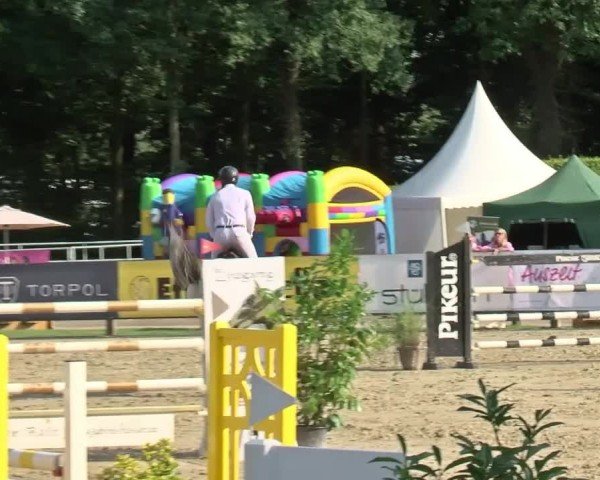 Reitturnier Münster-Handorf | Westfalen-Woche 2024