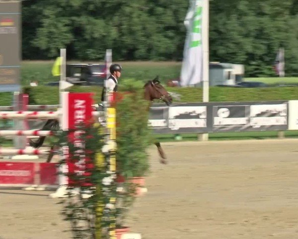 Reitturnier Münster-Handorf | Westfalen-Woche 2024