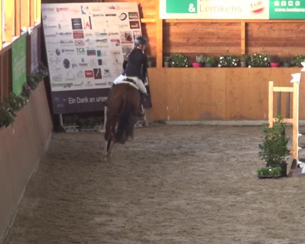 Springturnier Xanten - Reitanlage Miss 2021