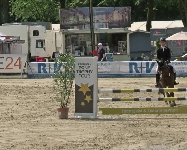 Reitturnier Münster-Handorf | Westfalen-Woche 2024