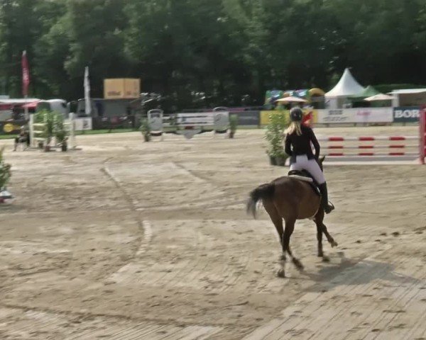 Reitturnier Münster-Handorf 2024