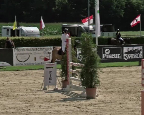 Reitturnier Münster-Handorf | Westfalen-Woche 2024