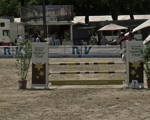 Reitturnier Münster-Handorf | Westfalen-Woche 2024