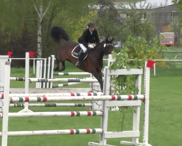 Reit- und Springturnier Brackenheim 2013