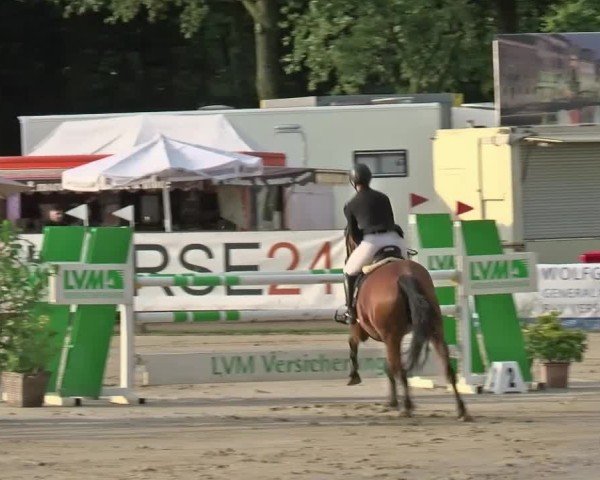 Reitturnier Münster-Handorf | Westfalen-Woche 2024