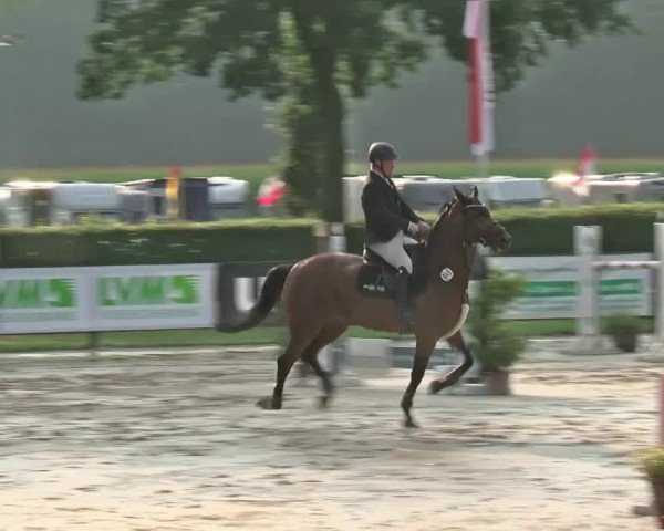Reitturnier Münster-Handorf | Westfalen-Woche 2024
