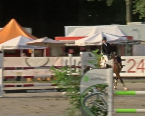 Reitturnier Münster-Handorf 2024