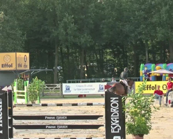 Reitturnier Münster-Handorf 2024