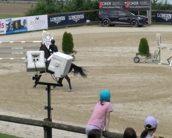 Reitturnier Wädenswil 2024