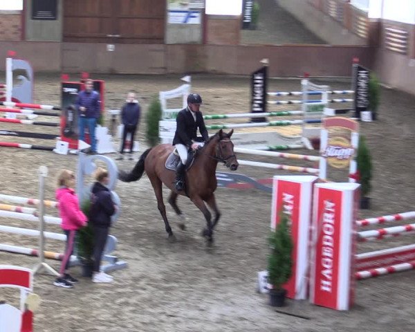 Reitturnier Herzebrock-Rheda 2021
