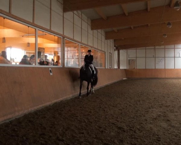 Reitturnier Halver 2013