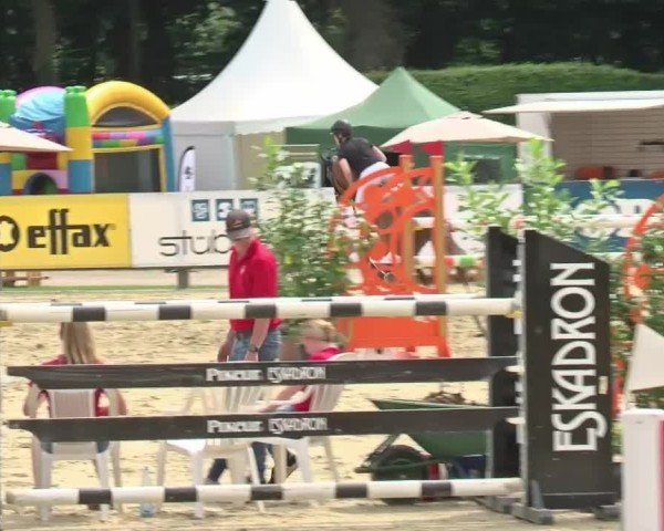 Reitturnier Münster-Handorf | Westfalen-Woche 2024