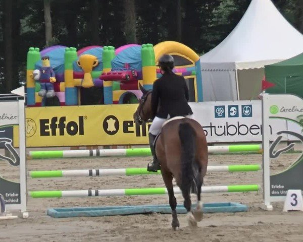 Reitturnier Münster-Handorf | Westfalen-Woche 2024