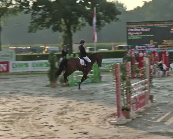 Reitturnier Münster-Handorf | Westfalen-Woche 2024