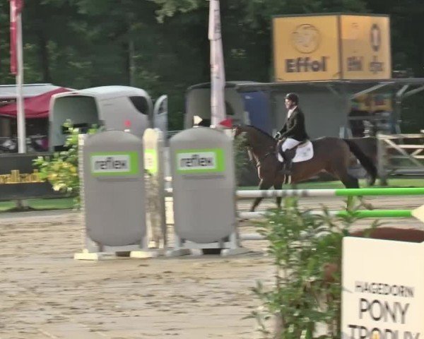 Reitturnier Münster-Handorf 2024