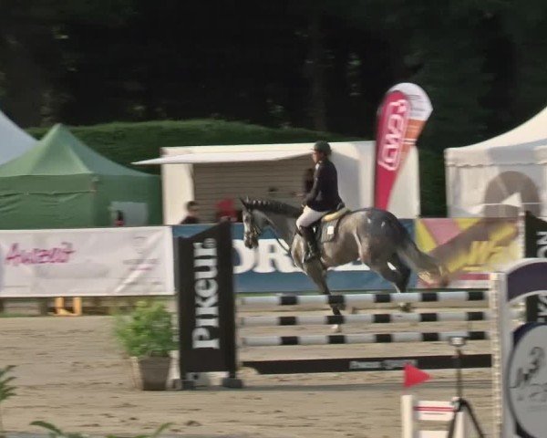 Reitturnier Münster-Handorf 2024