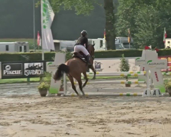 Reitturnier Münster-Handorf | Westfalen-Woche 2024