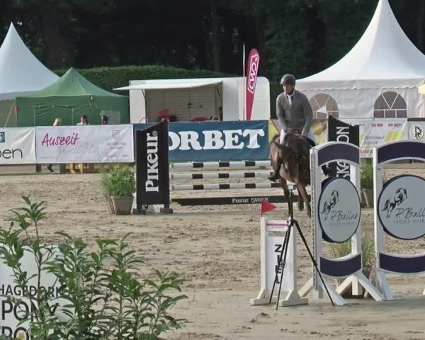 Reitturnier Münster-Handorf 2024